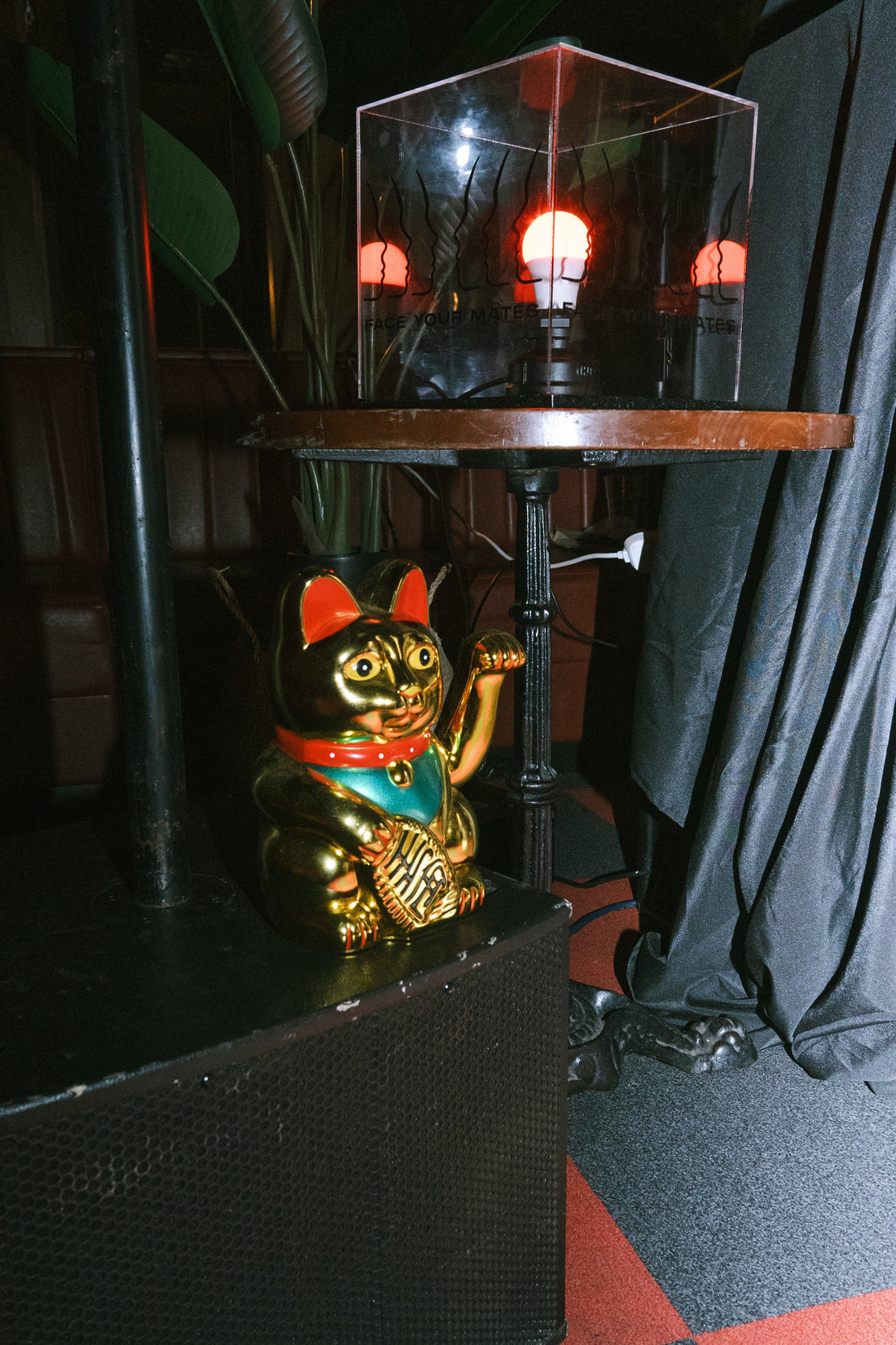 All Night Long - Thank You